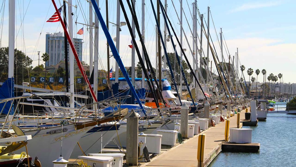 Green House Cleaning in Oceanside